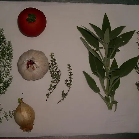 La Pieve Semproniano